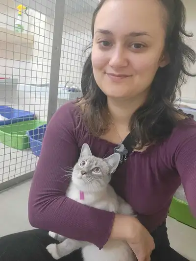 Experienced Cat Sitter, View more