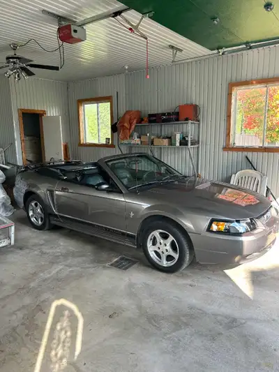 Mustang 2002 V6. 116000 km automatique. Intérieur en cuir. 4 pneus neufs. Batterie neuve, housse de...