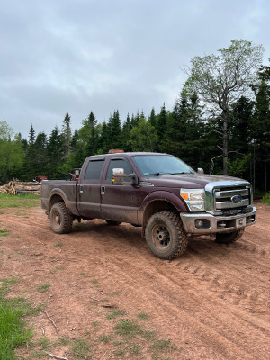 2013 Ford F 250 FX4
