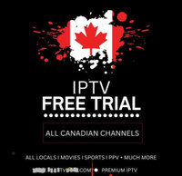  IP viewing call for trial 647-331-3038