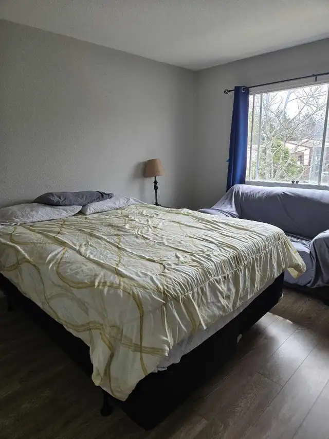 Room for Rent