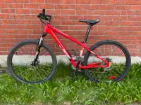 Garneau Trust 273 (Red) Mountain Bike