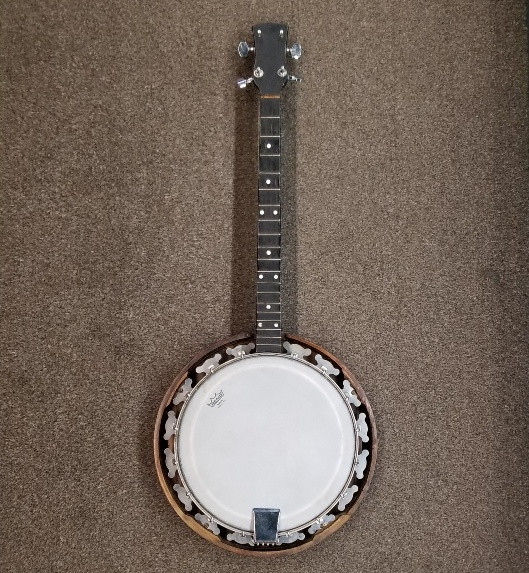 Banjo - decorative in String in Hamilton