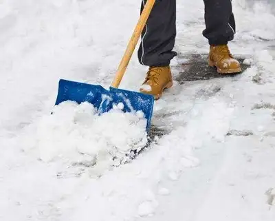 Snow Shoveling / Snow blowing /Yard work, View more