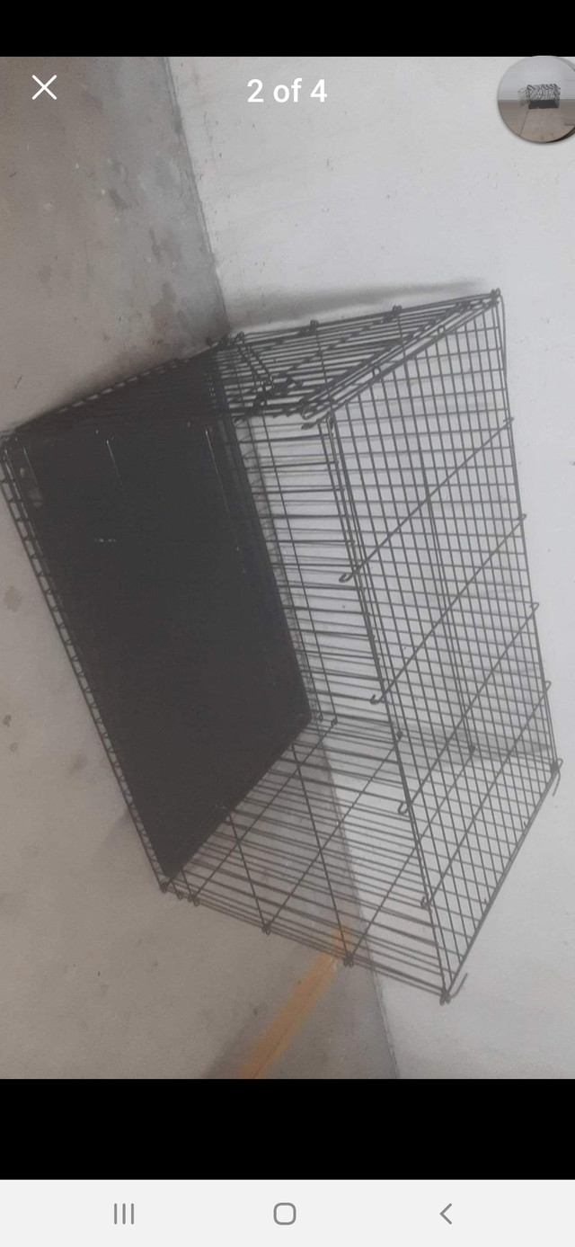 WANTED Dog crates any size and quantity  in Animal & Pet Services in City of Toronto - Image 3