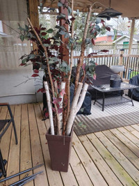 Fake Eucalyptus tree