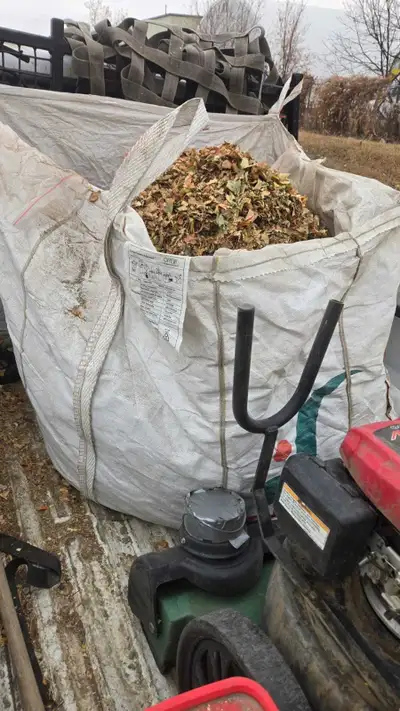 i need work, View more