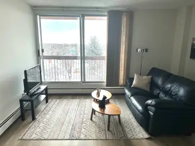 Recently remodelled 6th floor apartment with incredible view in excellently located downtown Lethbri...