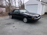 1985 ford mustang 5.0