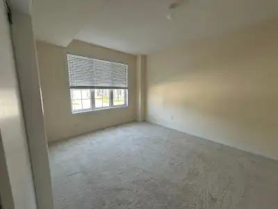 Basement unit for Rent