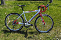 Extra Small Gravel Bike 24in Wheels