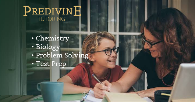 Experienced Chemistry & Biology Tutor - High School & University