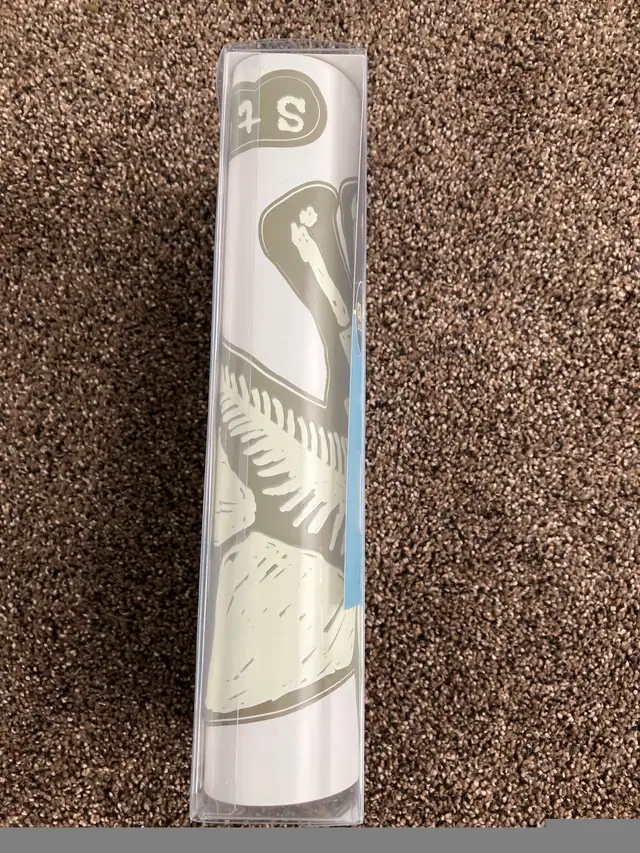 Dinosaur Wall Art Kit  in Home Décor & Accents in Ottawa - Image 4