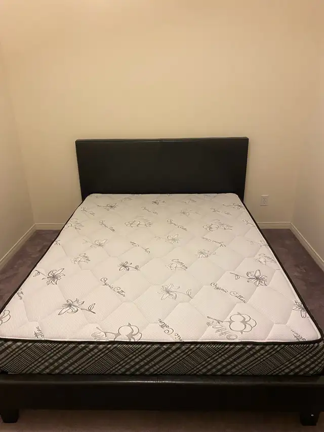 one single room for rent with washroom in Long Term Rentals in Mississauga / Peel Region - Image 5