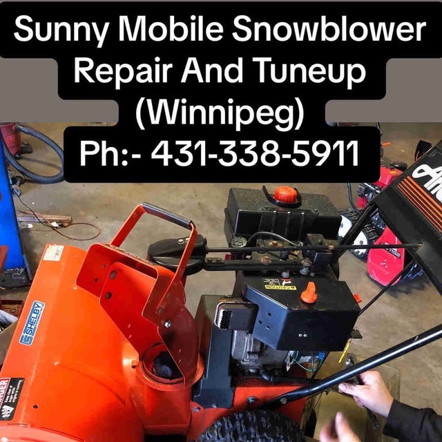Sunny Mobile Snowblower and Small Engine Repair And TuneUp Lawn
