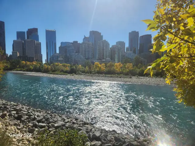 Skilled laborer seeking cash work in General Labour in Calgary - Image 2