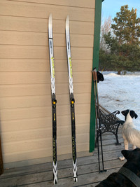 Cross country skis