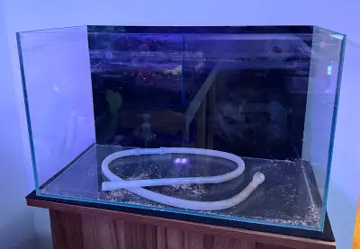 Rimless 20gallon fish tank Has some scratches on the glass. Back is wrapped in black vinyl $100 pick...