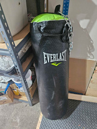 Everlast Boxing Bag / Sac de frappe