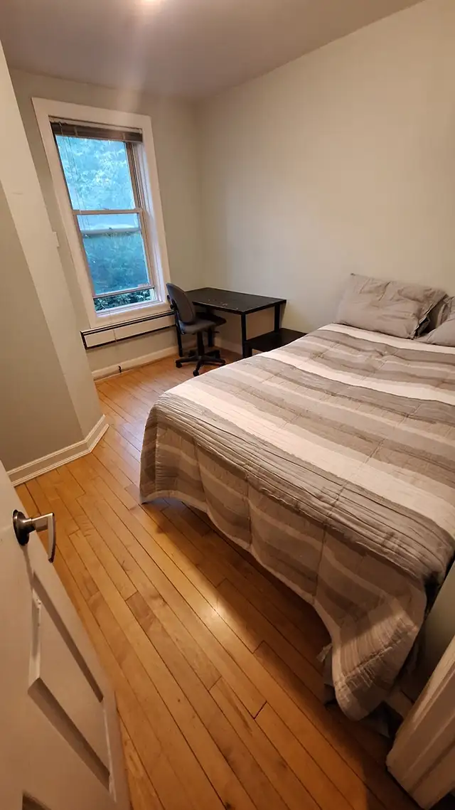 Sandy Hill (Somerset st) Female Only – all-inclusive price