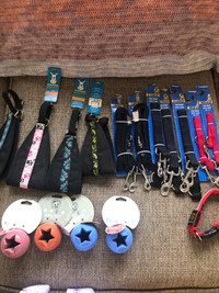 Dog collars, leads, and bowls 