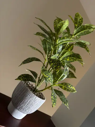 Artifical Decorative Plant, View more
