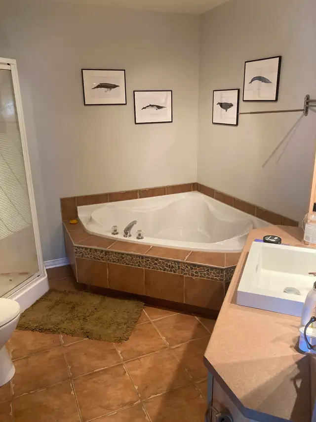 Ste-Marthe-sur-le-lac. Chambre à louer. Tout inclus 670$. in Room Rentals & Roommates in Laval / North Shore - Image 8