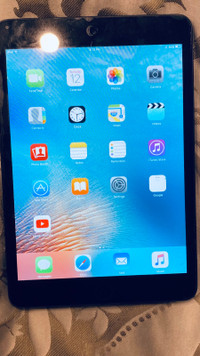 iPad mini 16gb slate # md528c