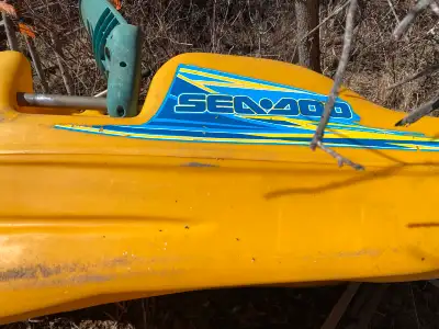 Seadoo paddle boat Can seat up to 4 people Located west of barehead Can deliver