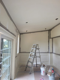 Honest,Reliable,Efficient Top Notch Pro Painting/Renovations