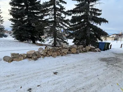 free firewood @ 6555 martin grove drive NE (back lane), View more