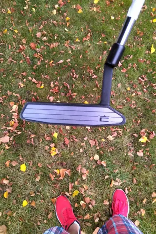 Cobra King Sport-45 Blade Putter (RH) in Golf in Kitchener / Waterloo - Image 3