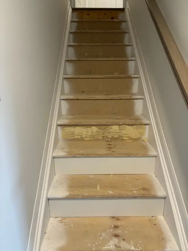 renovation 65561283267075124