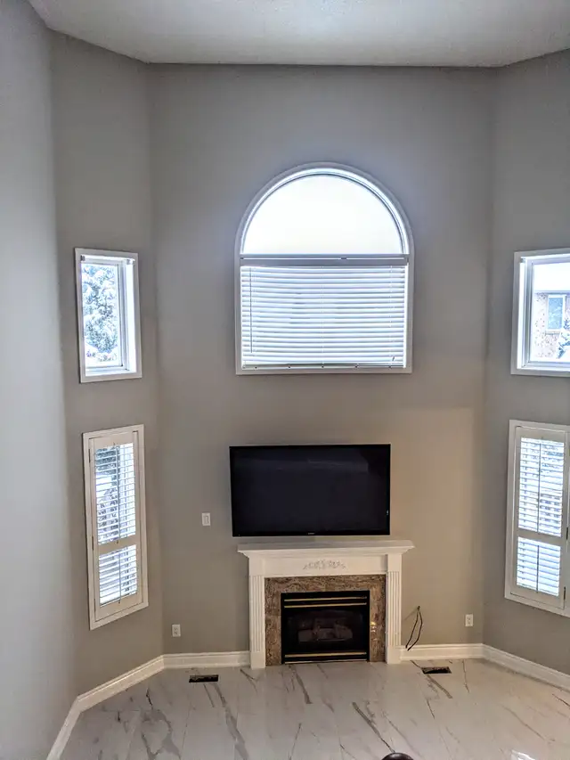 Painting Picasso Ltd.  --Professional & Affordable Painters-- in Painters & Painting in Mississauga / Peel Region - Image 5