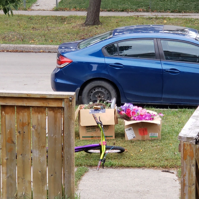 Free stuff Free Stuff Winnipeg Kijiji