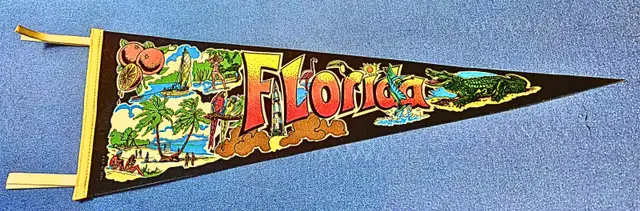 Vintage 1970s State of Florida Pennant Black Felt Tourism in Arts & Collectibles in Grand Bend - Image 2