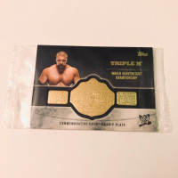 2014 Topps WWE Triple H Championship Belt Commemorative Card