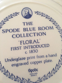 The Spode Blue Room Collection Floral 