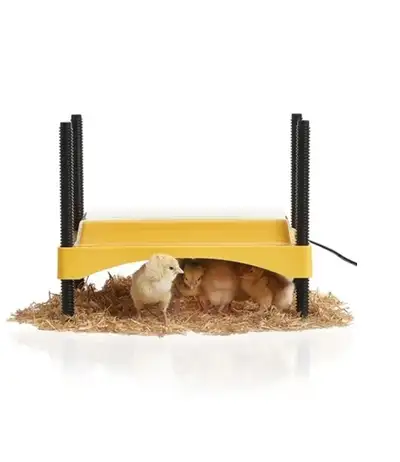 Brinsea EcoGlow Safety 600 Chick Brooder, View more