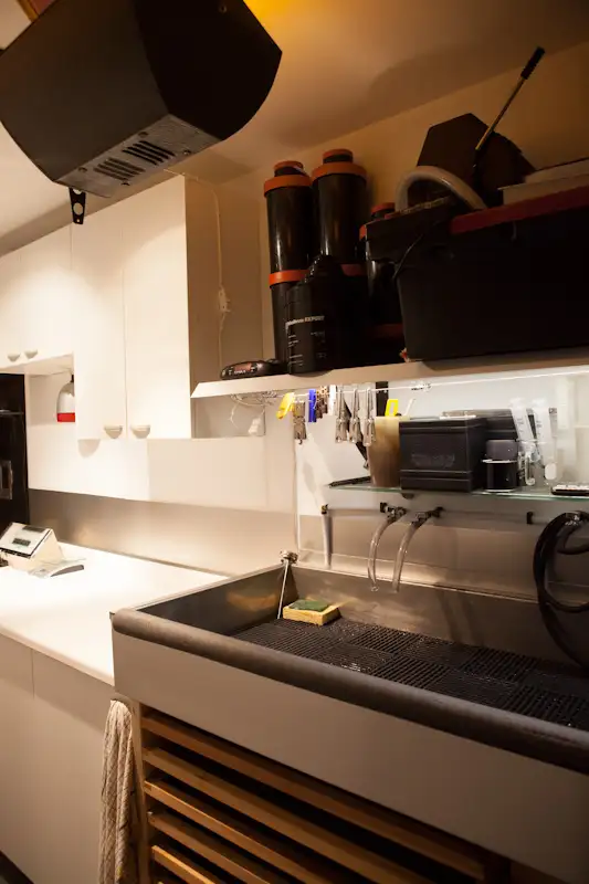 Tutorial/learning/basics Black and White Darkroom63915385032578122