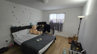 Private room available from May1 Scarborough 