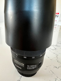 Canon EF 70-300 f4-5.6 IS I USM's Nanotechnology