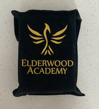 Dungeons and Dragons Elderwood Academy Mini Spellbook and more