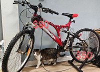 Moving sale, cycle, chair , cat toys, shoes 