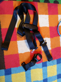 HARNESS FROM EVENFLO CHASE CAR SEAT BOOSTER