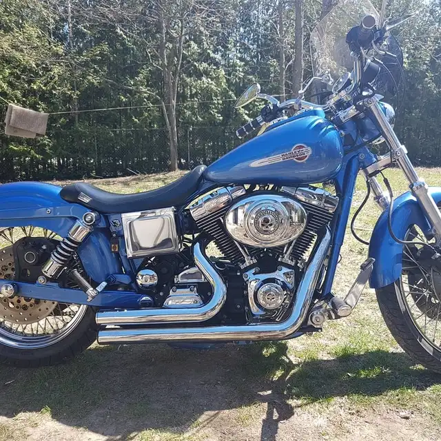 1999 dyna in Street, Cruisers & Choppers in Owen Sound - Image 5