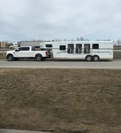Horse hauling/transport call today 4035120554, View more
