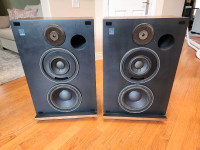 ElectroVoice Interface C Series II speakers with matching EQ