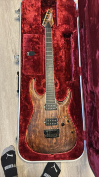 *ECHANGE* ibanez rgaix6u 