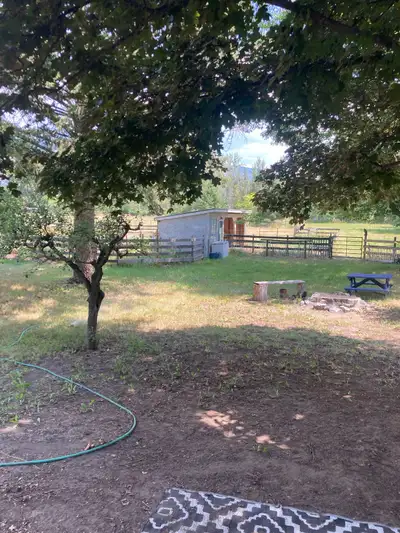 Grand Forks BC 5 acres farm land with modest 2 bed plus den home , fenced and cross fenced, 2 shelte...